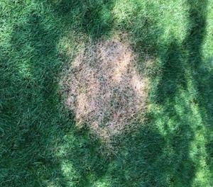 Bol de foyer 24 ''avec tapis de réflexion de la chaleur <span class=keywords><strong>Couverture</strong></span> <span class=keywords><strong>anti</strong></span>-<span class=keywords><strong>feu</strong></span> pour foyers extérieurs - Product Image 5