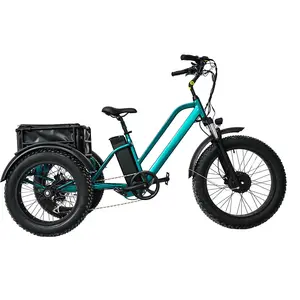 20x4 pneumatici grassi città bici elettrica per adolescenti e signore cargo e-bike