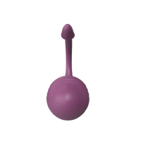 Sexspielzeug für Frauen App Fernbedienung Vibrator Jumping Egg mit 9 Vibrations modi