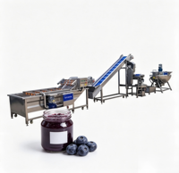 Turnkey gemengde fruitjam verwerkingslijn met pulper, finisher en zuigerafvulsysteem