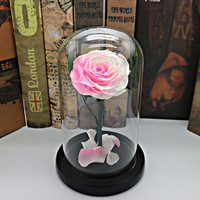 Hot 12*20Cm Beauty Beast Belle Led Red Real Everlasting Decoratieve Bloem Gift Box Blijvend Eeuwige Geconserveerde Rozen in Glas Dome