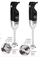 Mixeur Plongeant Commercial Mini 250W, 8 Vitesses Réglables, Capacité 10L, pour Soupe, Sauce, Purée, Cuisine