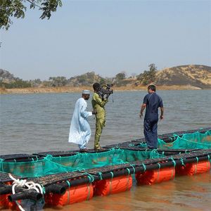 Gabbia per pesci a rete per gamberetti in acciaio inossidabile galleggiante - Product Image 3