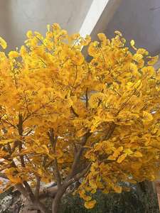 Arbres d'<span class=keywords><strong>automne</strong></span> personnalisés, feuilles de Ginkgo biloba jaunes, plantes artificielles, grand <span class=keywords><strong>arbre</strong></span> de Ginkgo pour la décoration paysagère - Product Image 3