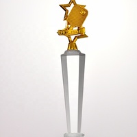 Trophée en cristal personnalisé, écologique, gravé au laser, poli, pour les compétitions scolaires, prix de pickleball sécurisé