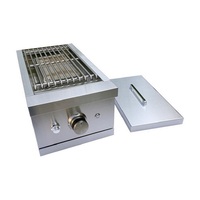 Barbecue à gaz propane céramique infrarouge de haute qualité certifié CE, en acier inoxydable 304, pour extérieur, avec brûleur latéral et éclairage LED
