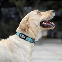 Anti-Verlust QR-Code-Scan Umweltfreundliches Langlebiges Nylon Reflektierendes Solides Smart-Tracking-Halsband für Mittelgroße/Große Hunde und Katzen
