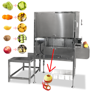 RVS Fruit & Groente Schilmachine Appel Citroen Peer Perzik Sinaasappel Persimmon Schil- en Ontvellingmachine