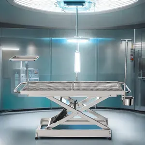 מנורות שולחן כירורגיות חשמליות רפואיות מופעלות על סוללה לניתוח וטרינרי חדר ניתוח מיילדים לשימוש במיטה