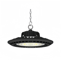 Lumière minière industrielle IP65 à haute baie 50W 100W 150W 200W 300W avec lampe de type anneau de levage à prise personnalisable pour zone de danger