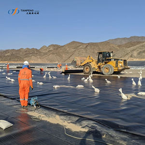 Alta Qualidade Preço Por Atacado Anti-envelhecimento Hdpe Geomembrana Tratamento De Águas Residuais Agricultura Pond <span class=keywords><strong>Liner</strong></span> - Product Image 3
