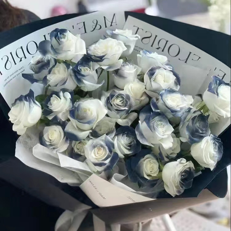 C-d grade selected maltese blue 20 stems [spray color]