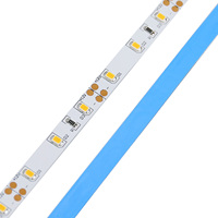 Bande lumineuse LED Flexible SMD 2835, 12V, 24V, 5M, 10M, étanche, Diode blanche chaude