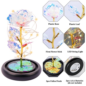 OurWarm 2021 Forever Galaxy Rose con luz LED Dia De La Madre Regalos para el día de la madre Pedido mínimo 50 piezas - Product Image 5