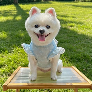 T-shirt léger d'été en maille avec nœud et manches volantées pour animaux de compagnie, tee-shirt respirant et mignon pour chiens et chats à porter au quotidien - Product Image 5