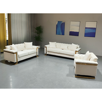 Ensemble de canapés de luxe 2025, style simple, fauteuil, causeuse, meubles de salon, paire avec coussins et décorations dorées