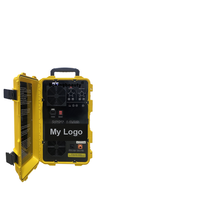 Appareil de magnétothérapie PEMF portable et réglable Health LOOP pour la physiothérapie orthopédique des chiens et des chevaux
