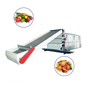 Factory outlet tunnel conveyor mesh belt dryer for fruits and vegetables banana apple and grain coconut copra drying machine