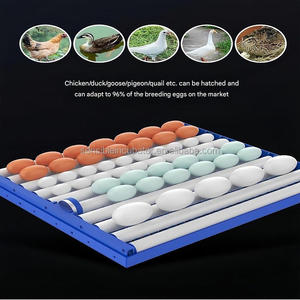 Vente <span class=keywords><strong>en</strong></span> gros d'incubateurs à œufs solaires 204 à nouvelles fonctionnalités, incubateur et éclosoir entièrement automatique pour poulet, canard, oie, pigeon, caille - Product Image 6