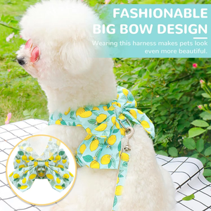 Arnés y Correa para <span class=keywords><strong>Perro</strong></span> NiBao Personalizado, <span class=keywords><strong>Sin</strong></span> Tirones, con Anilla en D y Lazo, Malla Suave - Product Image 5