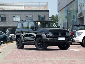 2024ติดผนัง2.0ตันร่างเบนซินขับเคลื่อนรถขนาดกะทัดรัด SUV GWM ถัง300 - Product Image 3