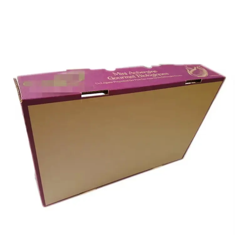 Neue Produktideen Kartonbox Verpackungsbox mit Griff PVC-Fenster schöne Fruchtbox Verpackung