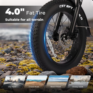 Vélo électrique pliable à pneus larges de 20 pouces en stock dans l'UE, 250W 48V 13Ah, autonomie de 100 km, Shimano 7 vitesses, frein à disque IP65, pour trajets quotidiens, livraison en 3-7 jours - Product Image 4