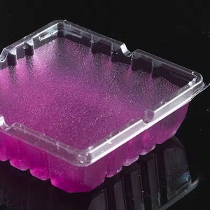 Cendriers jetables en plastique sans <span class=keywords><strong>fumée</strong></span>, solubles dans l'eau, écologiques, avec sable extincteur <span class=keywords><strong>de</strong></span> <span class=keywords><strong>fumée</strong></span> pour bars et salons - Product Image 3