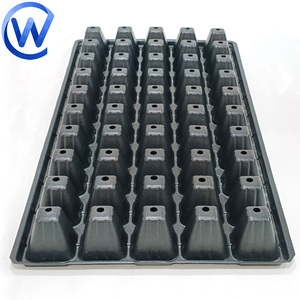 Plateaux de semis 70 cm x 48 cm - Product Image 4