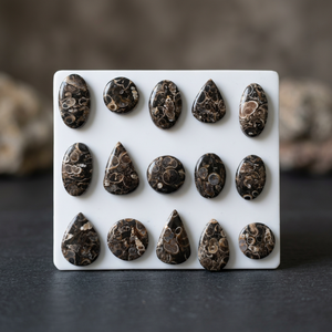 TURRITELLA Agate Cabochon Wholesale Lot By Weight With Different Shapes And Sizes Used For Jewelry Making Stone TURRITELLA - Product Image 6