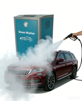 Machine à laver les voitures à vapeur électrique en acier inoxydable commercial, 8 bars, vapeur sèche et humide, certifiée CE