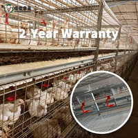 Équipement d'élevage avicole automatique de type H, état neuf, poulailler, cage à poulets