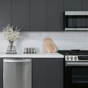 Cuisinière à gaz encastrable 4 brûleurs avec <span class=keywords><strong>four</strong></span> et <span class=keywords><strong>lave</strong></span>-<span class=keywords><strong>vaisselle</strong></span> intégré en acier inoxydable pour hôtel et usage domestique - Product Image 4