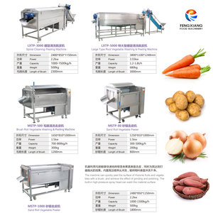 Brosse commerciale Fengxiang pour l'égouttage et le nettoyage des ignames, pommes de terre, carottes et taro - Product Image 6