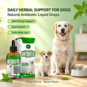 Gouttes antibiotiques douces pour chiens pour la santé digestive et le soutien immunitaire à action rapide, saveur bacon - Product Image 6
