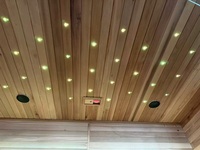 Sauna traditionnel intérieur pour 4-5 personnes, cabine de sauna en verre pour la maison, spa relaxant avec ciel étoilé LED et commande numérique