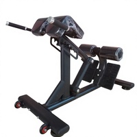 Chaise romaine commerciale pliable, banc d'hyperextension, machine de torsion multifonction, entraînement abdominal et fessiers