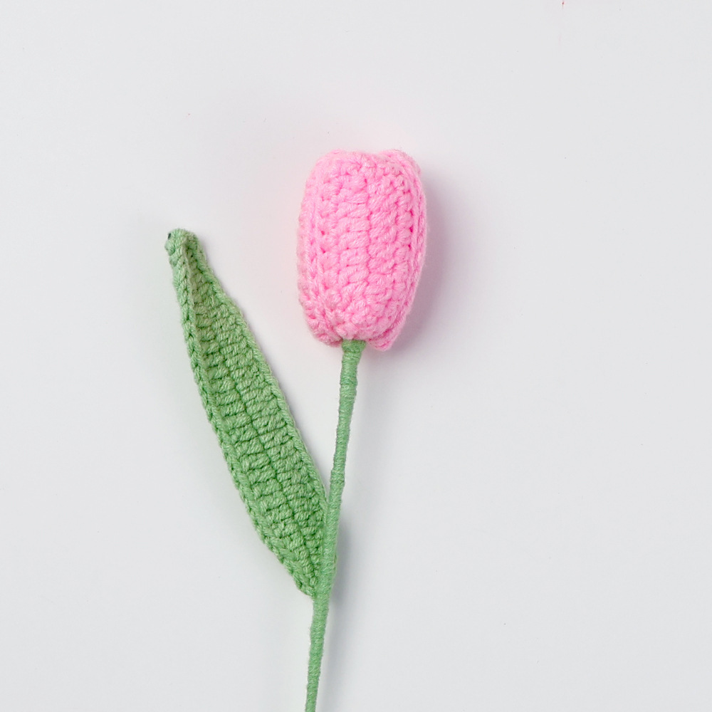 Tulipe fermée finie-rose vif