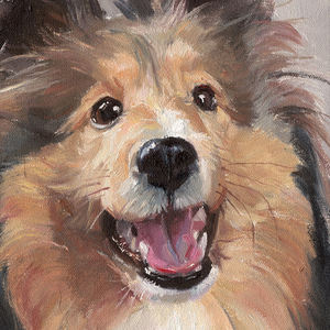 कस्टमाइज्ड शेटलैंड शेपडॉग पालतू चित्र कैनवास जानवर जन्मदिन पर उपहार - Product Image 2