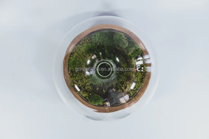 Matériau <span class=keywords><strong>en</strong></span> <span class=keywords><strong>verre</strong></span> et couleur claire plante d'intérieur géométrique <span class=keywords><strong>terrarium</strong></span> <span class=keywords><strong>en</strong></span> <span class=keywords><strong>verre</strong></span> <span class=keywords><strong>bouteille</strong></span> <span class=keywords><strong>en</strong></span> <span class=keywords><strong>verre</strong></span> Biodome Rainforest <span class=keywords><strong>Terrarium</strong></span> - Product Image 5