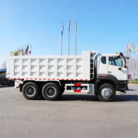 Горячая распродажа: Самосвал Sinotruk Howo NX 6x4, тяжелый самосвал-дампер, популярный для горнодобывающей и строительной отрасли.