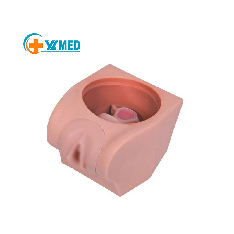 Female Advanced Subcutaneous Implantation Contraceptive Exercise