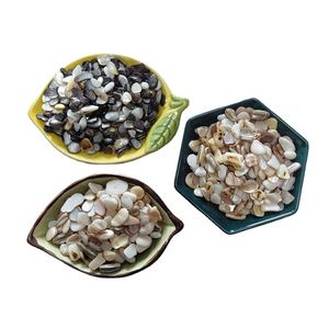 เกล็ดหินบดเปลือกหอยเป๋าฮื้อธรรมชาติสำหรับใช้กับกรวดในสวน - Product Image 1