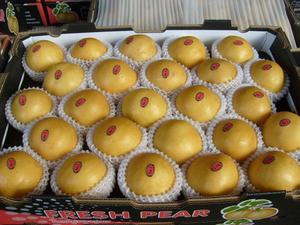 Pera Ya Fresca/Pera Corona, Frutas Dulces y Jugosas, Precio al por Mayor, Exportación Directa de China - Product Image 5