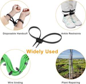 Hoge Sterkte Zelfsluitende Plastic Nylon Dubbele Ritssluiting Handboeien Te Koop Kabelbinders - Product Image 3