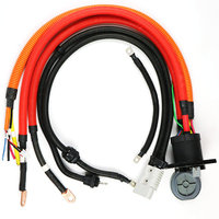 Kabelbaum Fabrik Custom Auto Connector RNB70-8 70 mm2 200A New Energy Batterie kabel