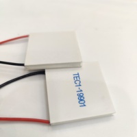 Module de plaque Peltier de refroidissement de refroidisseur thermoélectrique de radiateur de TEC1-19901