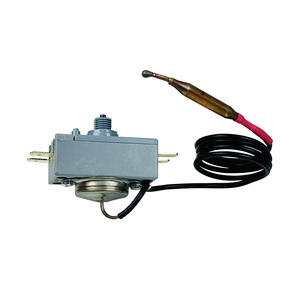 Thermostats capillaires (TDS) pour chauffe-eau électriques industriels 20A/30A à température contrôlée - Product Image 1