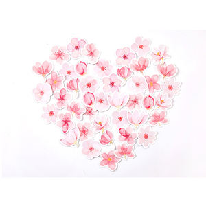 45 יח'\קופסא דובדבן חמוד פריחת סיפור מודבק ילדה דבקה ילד גלידות מדבקות עצמיות דקורטיביות - Product Image 4