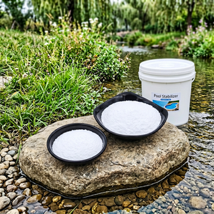 L0319  Promoción Mar: Precio del Ácido Cianúrico (CYA) Original para Piscinas - Product Image 1